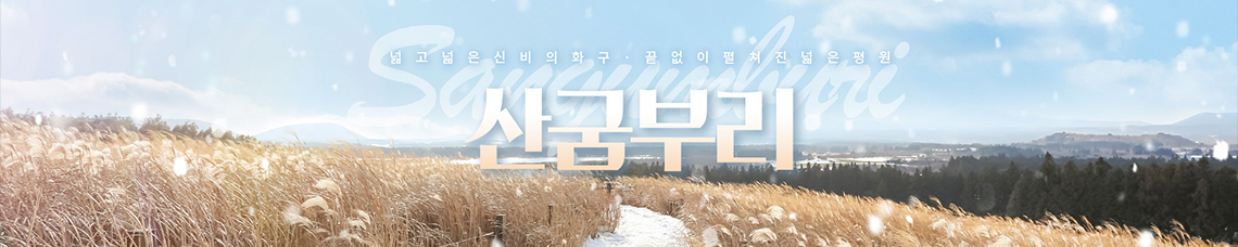 리스트슬라이드2