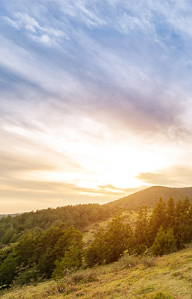 오늘의특가 배너
